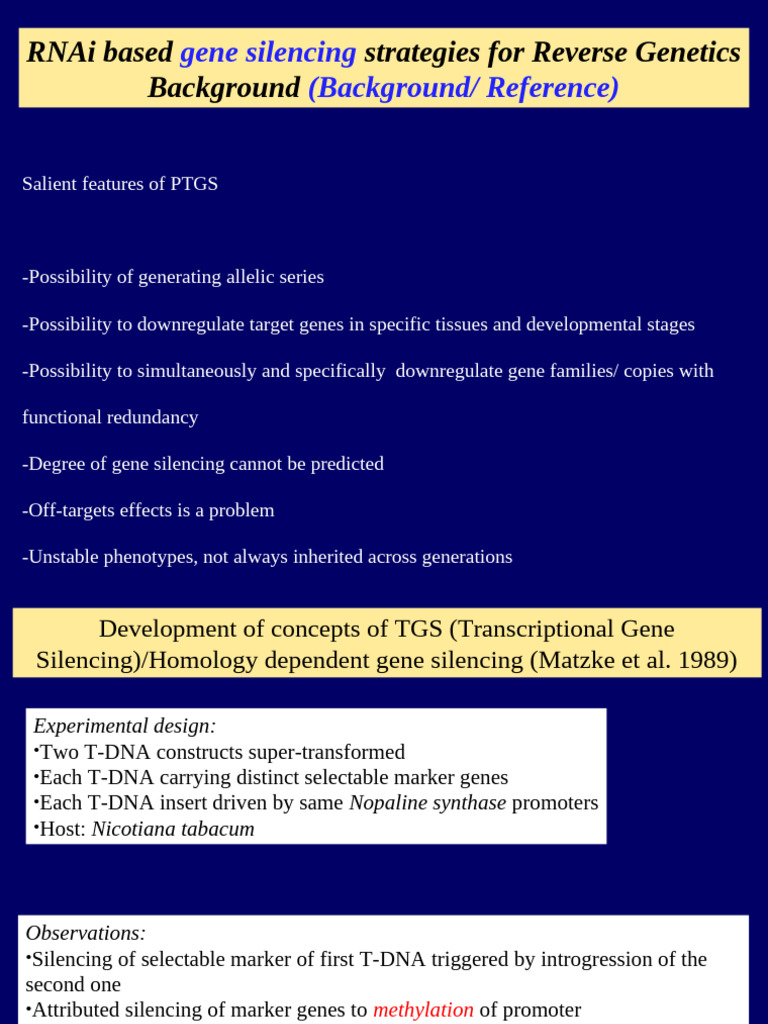 RNAi Gene Silencing Strategies Explained | PDF | Rna Interference ...