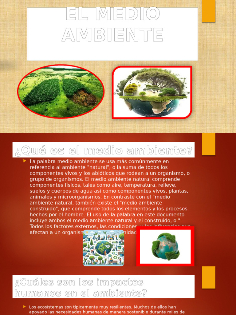 El Medio Ambiente | PDF | Entorno natural | Residuos