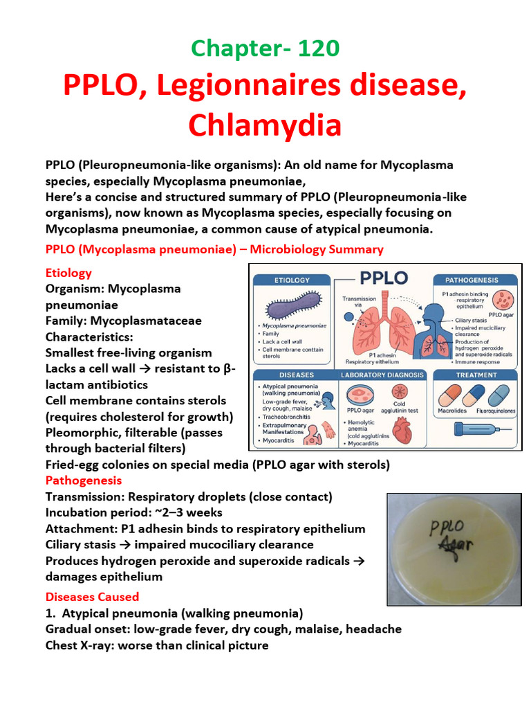 PPLO, Legionnaires Disease, Chlamydia | PDF | Medical Specialties ...