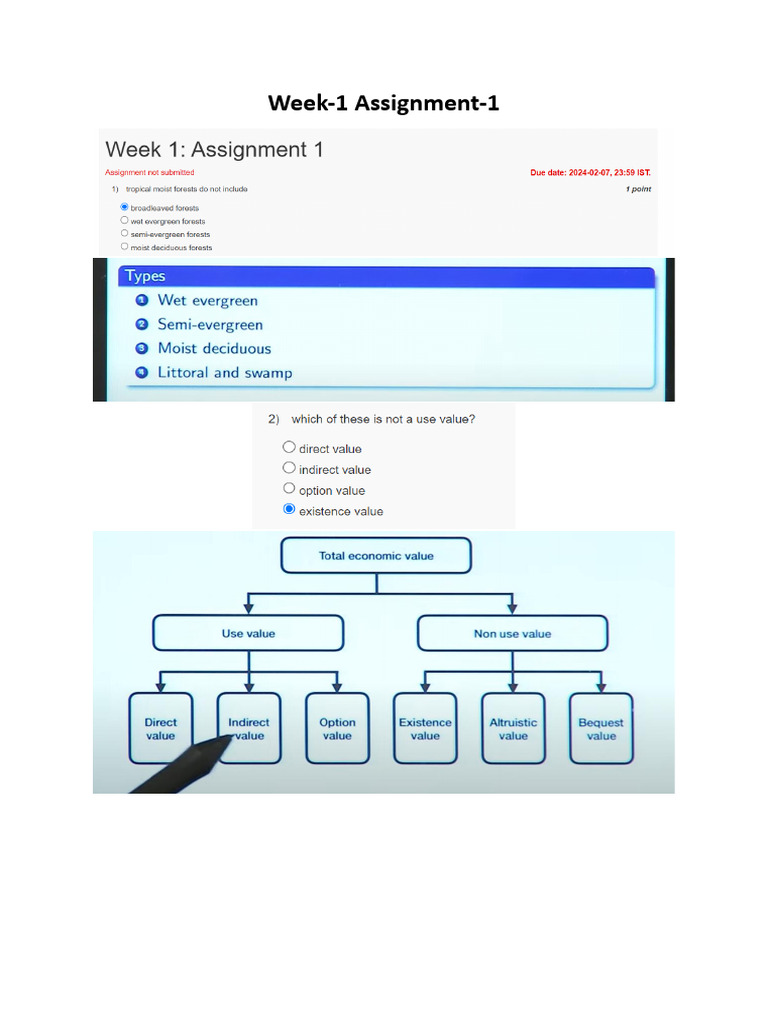 Week 1 Assignment 1 | PDF