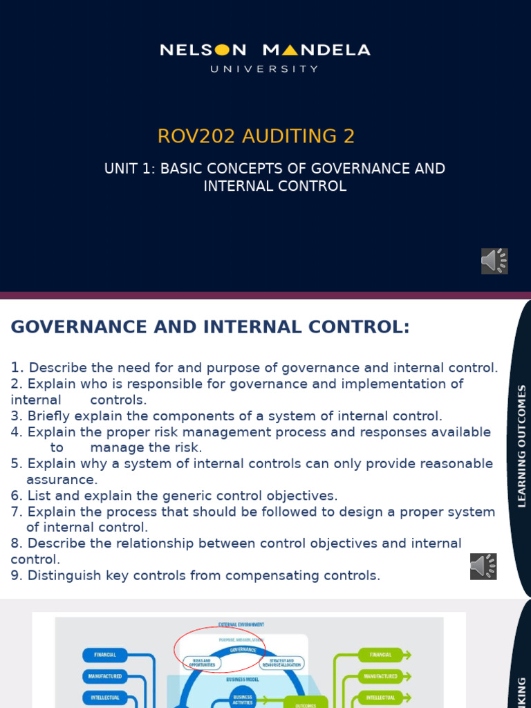 Governance and Internal Control Basics | PDF | Internal Control | Risk