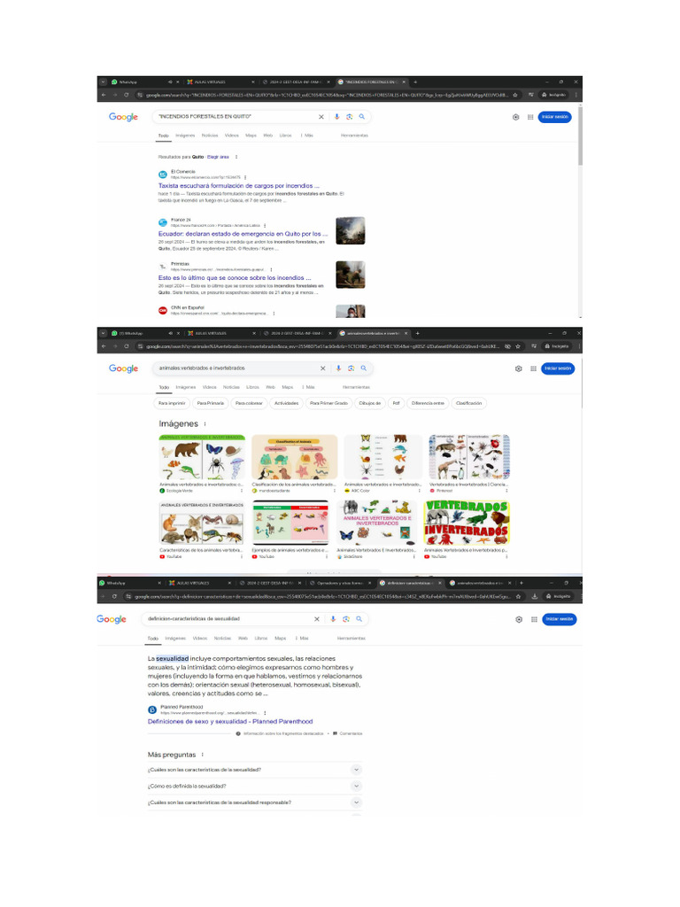 Actividades Escolares Pdf