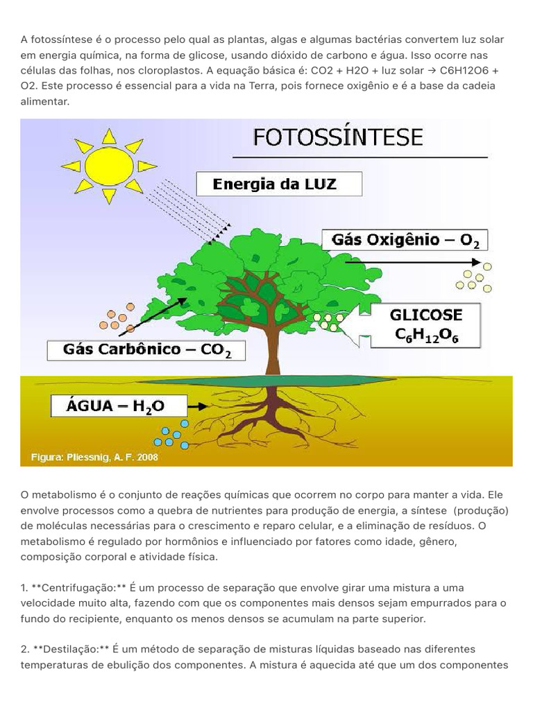 A Fotossíntese É o Processo Pelo Qual As Plantas, Algas e Algumas | PDF ...