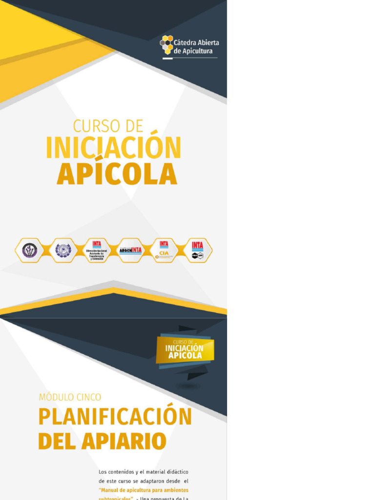 Modulo 5 | PDF