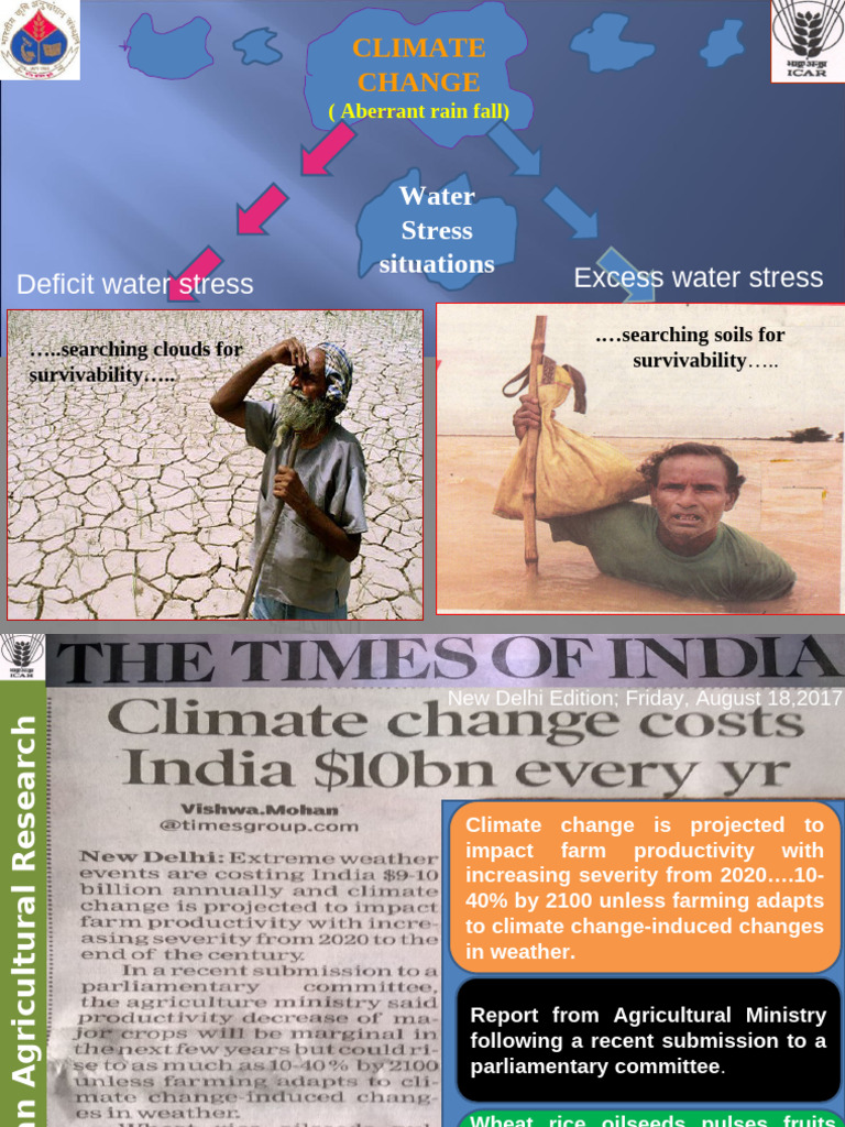 Water Management Strategies for Rice | PDF | Water Scarcity | Agriculture