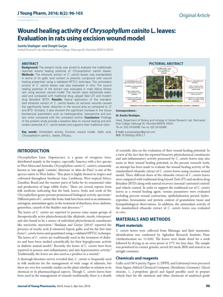 Wound Healing Effects of C. cainito Leaves | PDF | Polyphenol | Wound