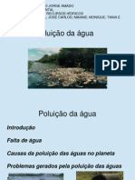 Apresentação Poluição da água