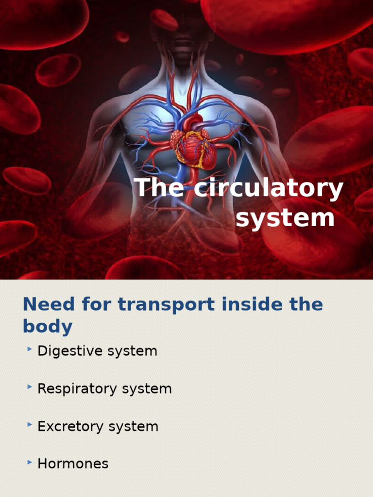 Overview of Human Blood and Circulation | PDF