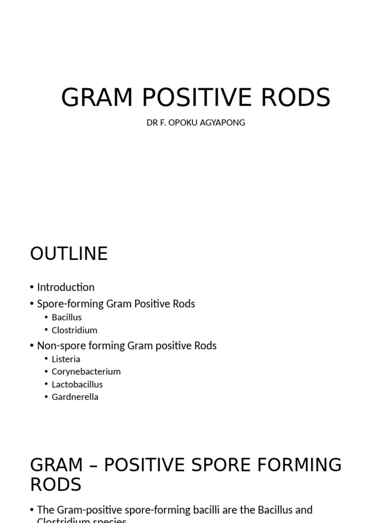 Gram Positive Rods: Clostridium Overview | PDF | Lactobacillus | Anthrax