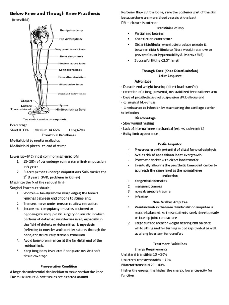 Types of Below and Through Knee Prostheses | PDF | Prosthesis | Knee