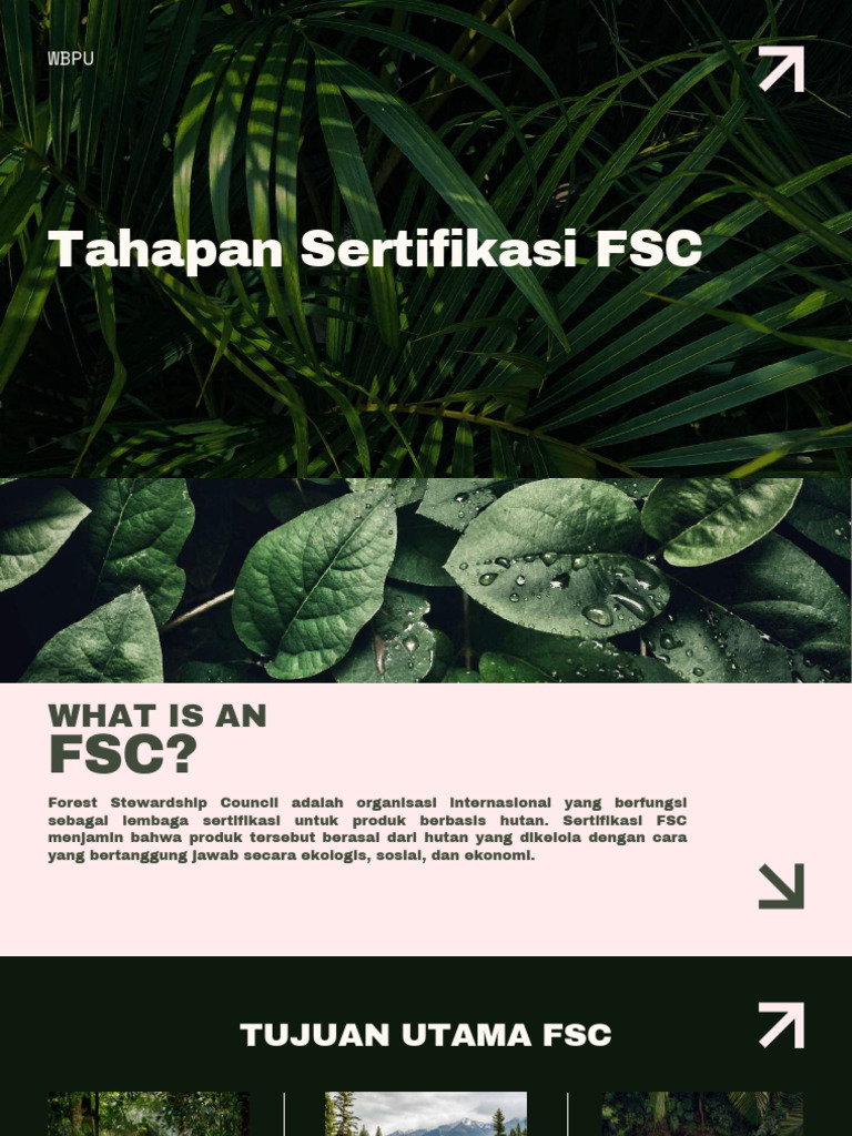 Tahapan Sertifikasi FSC Compressed | PDF