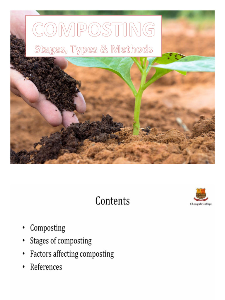 Types of Composting Explained | PDF