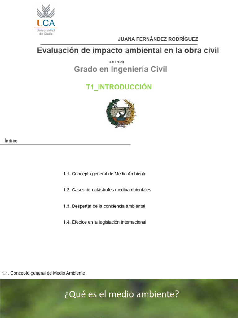 Evaluación de Impacto Ambiental en Obras | PDF | Desastre de Chernobyl ...
