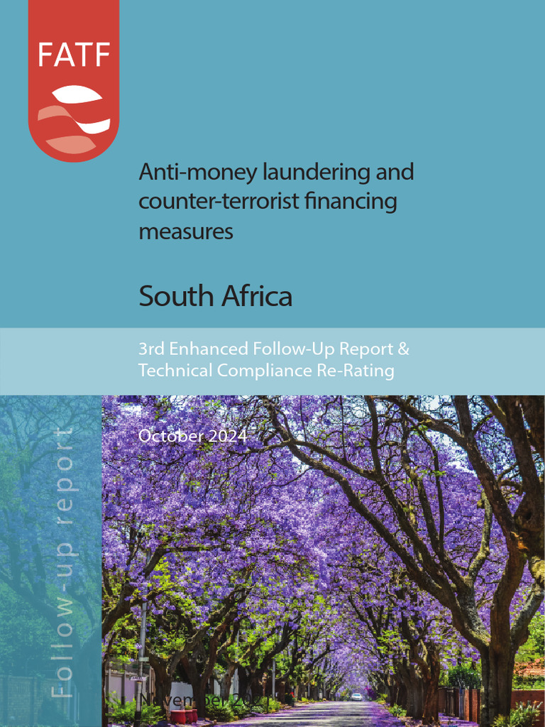 South Africa's 3rd AML/CFT Follow-Up Report | PDF