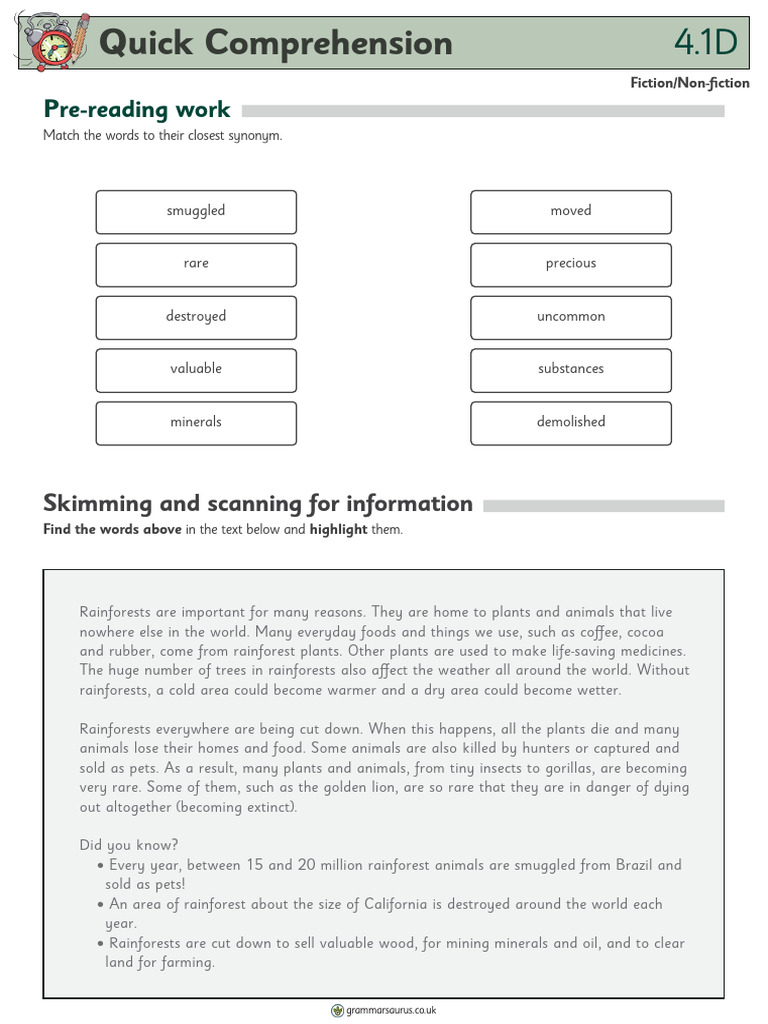 Y4 Quick Comprehension Pack 4 | PDF | Rainforest | Plants