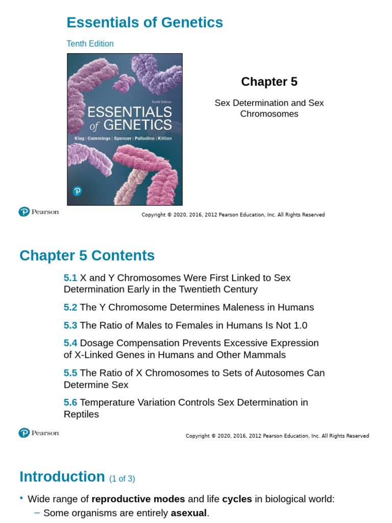 Intersex Chromosomes and Human Genetics | PDF | Sex | Sexual Reproduction