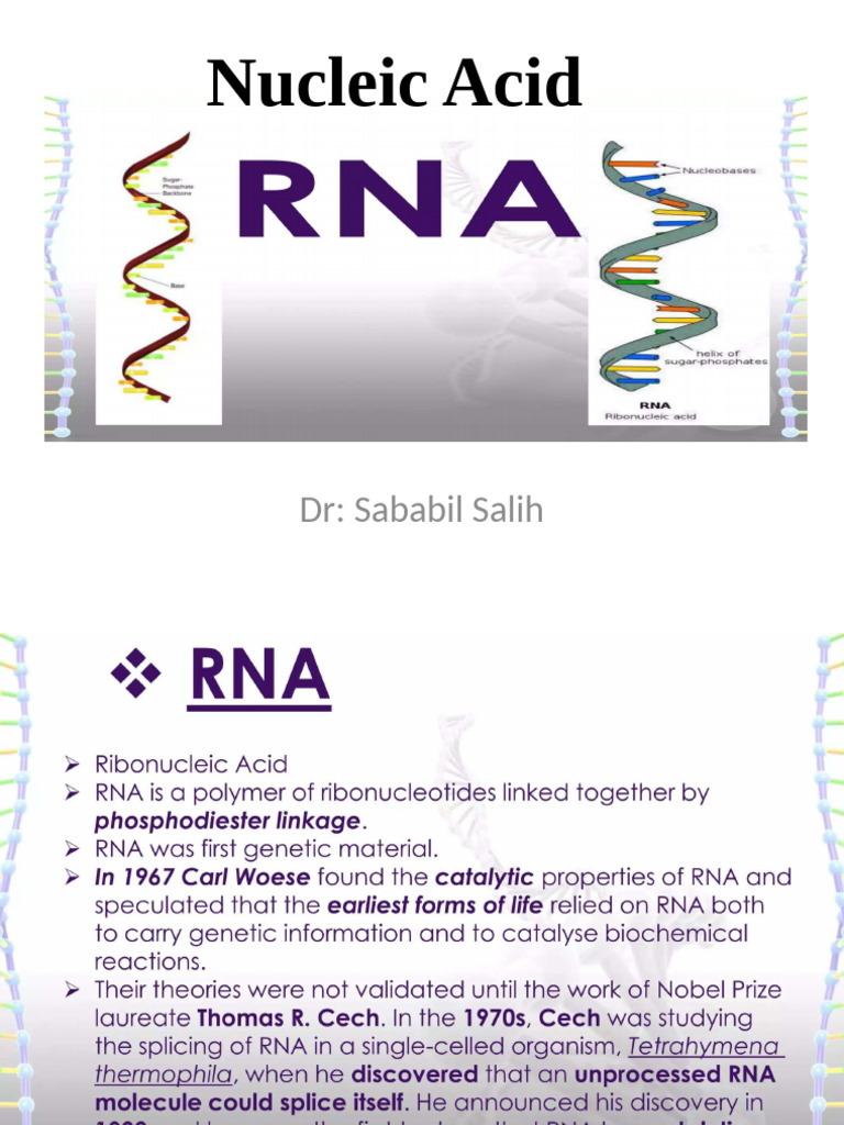 Nucleic Acid RNA | PDF