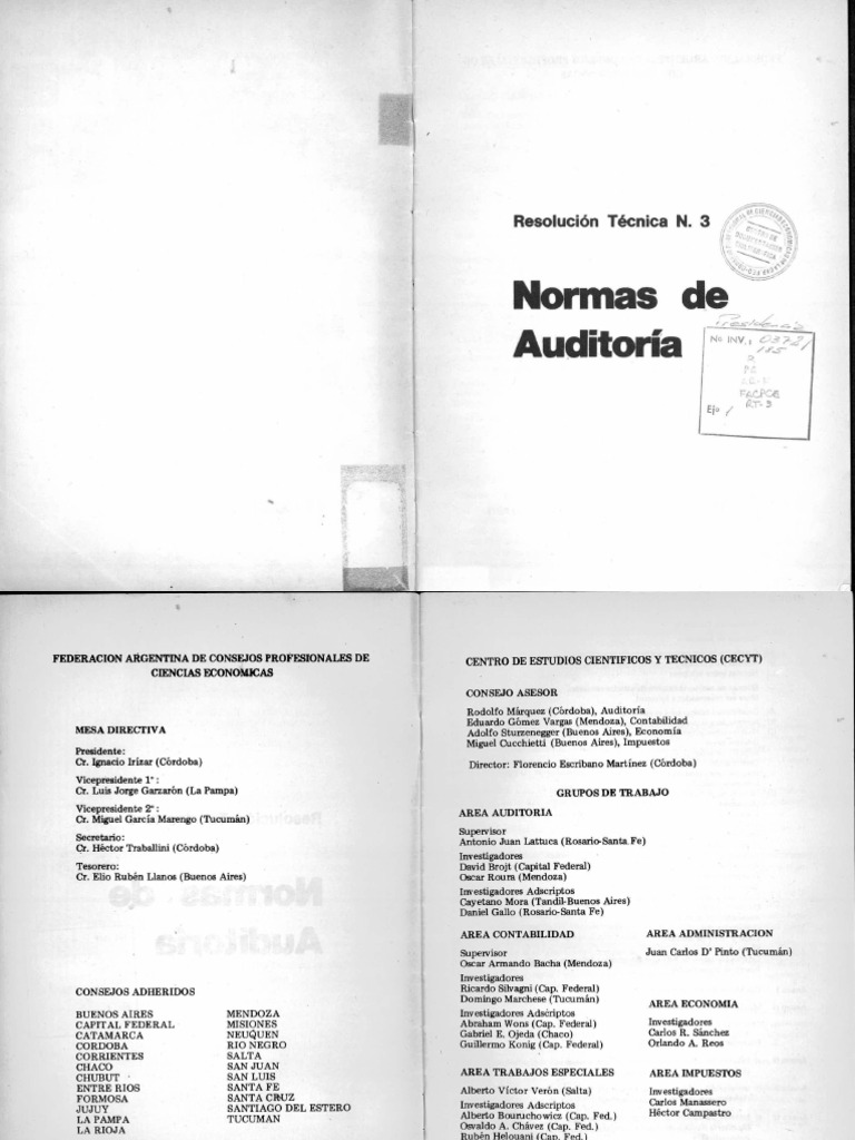 Normas de Auditoría en Ciencias Económicas | PDF | Contralor | Auditoría