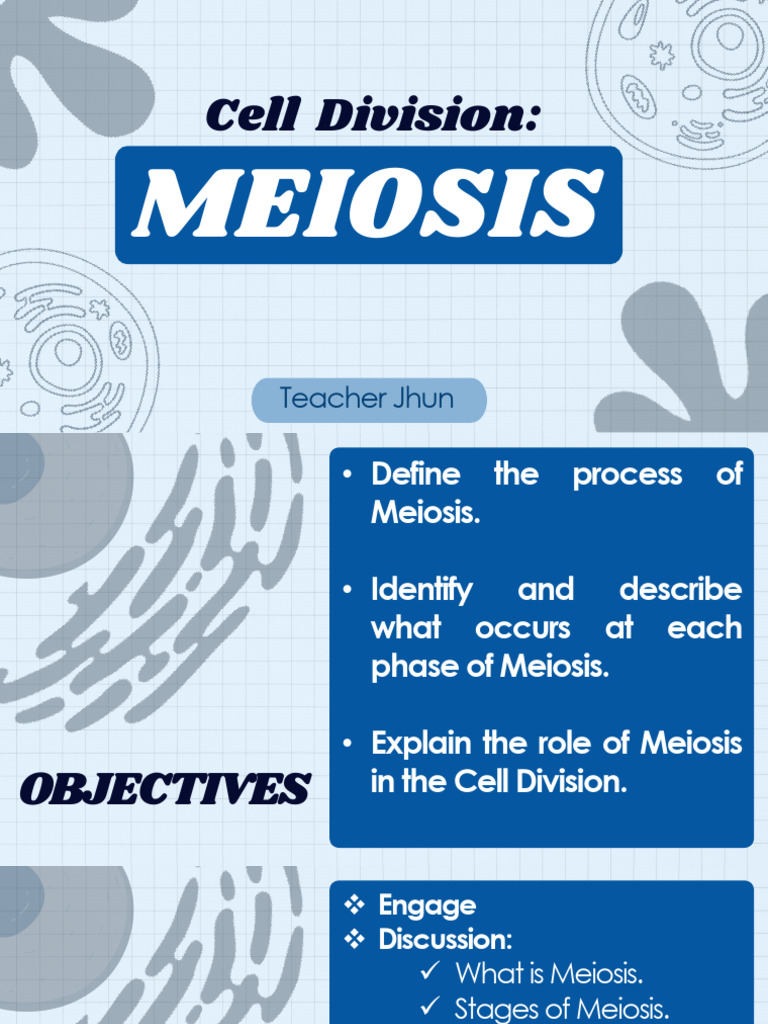 Understanding Meiosis in Cell Division | PDF | Meiosis | Mitosis