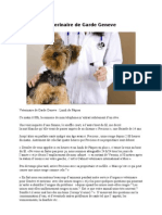 Veterinaire de Garde Geneve