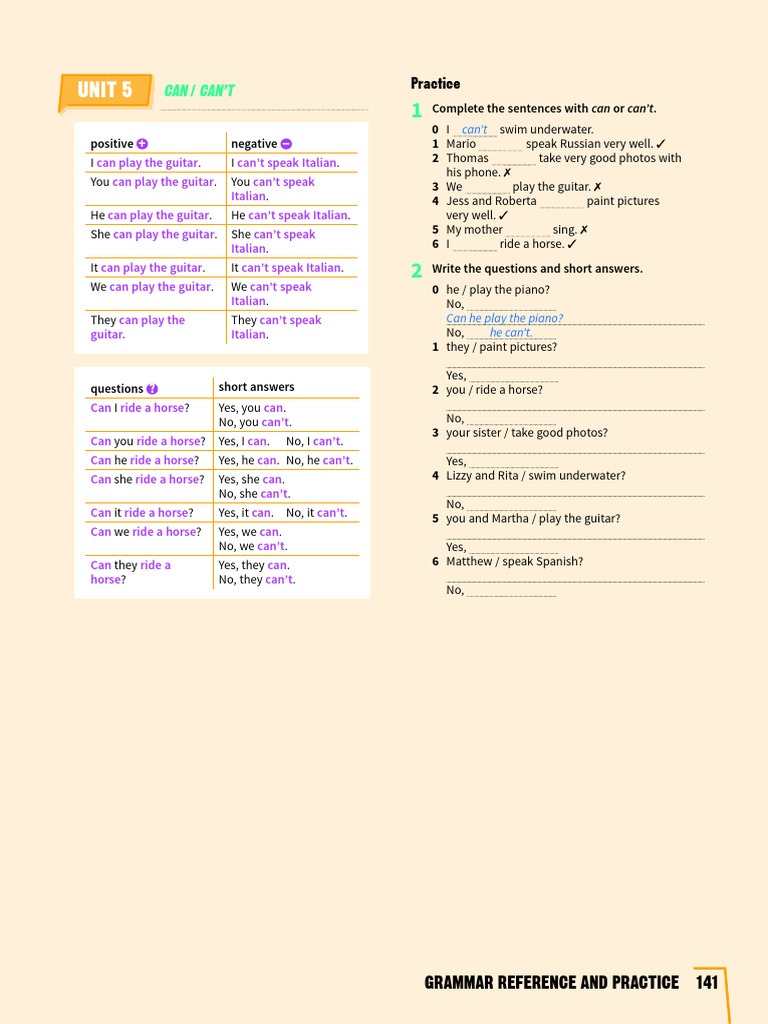 Can and Can't Usage Guide | PDF