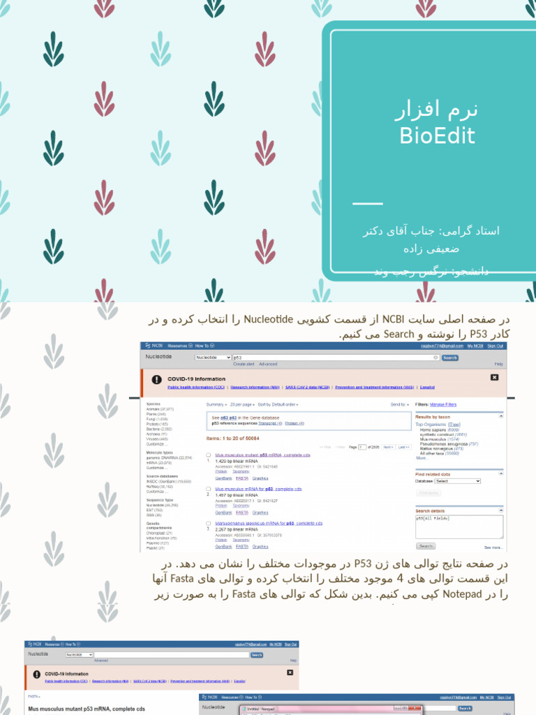 Bio Edit | PDF