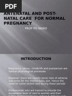 Antenatal Care Card Template | PDF | Gynaecology | Sexual Reproduction