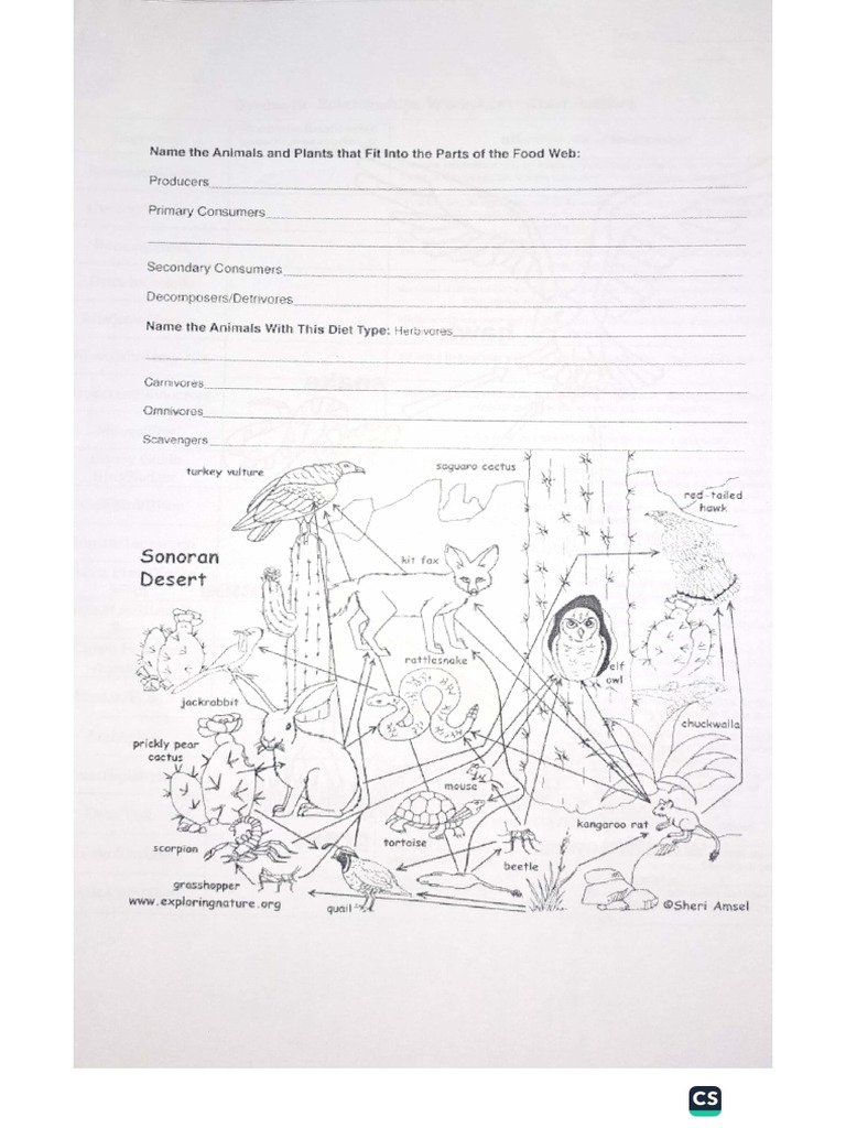 Ecology Worksheet | PDF