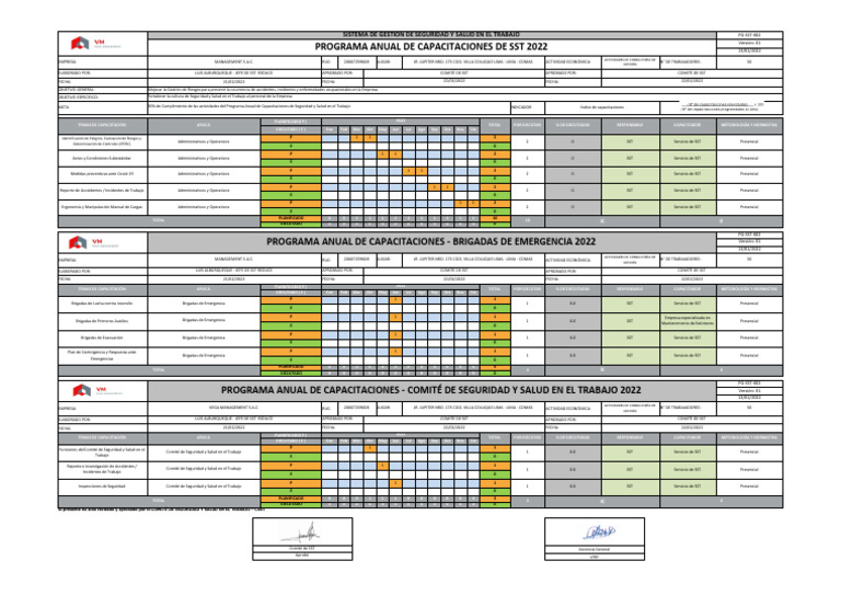 PG-SST-002 Programa Anual Capacitaciones de SST - VM (2022) | PDF | La ...