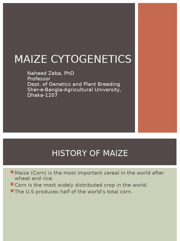 Cytogenetics of Maize With Transposable Elements | PDF | Maize ...