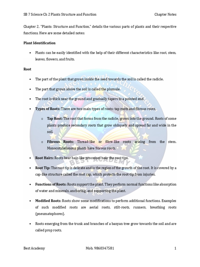 SB 7 Science CH 2 Plants Structure and Function Chapter Notes | PDF ...