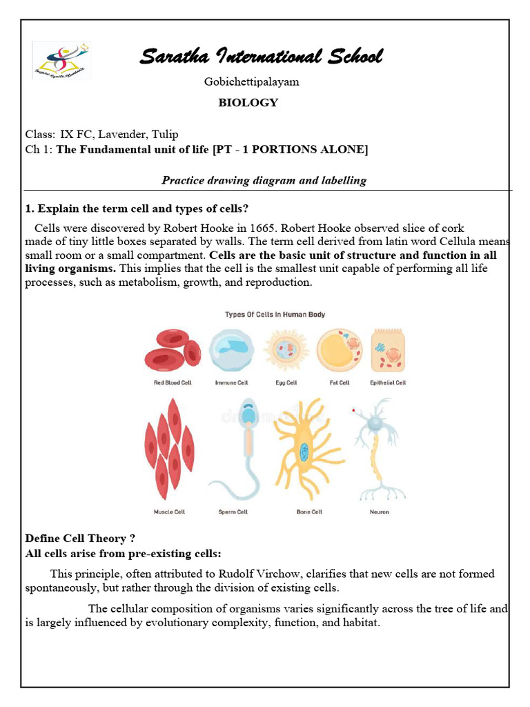 Biology: Cell Structure & Types | PDF | Chloroplast | Cell (Biology)