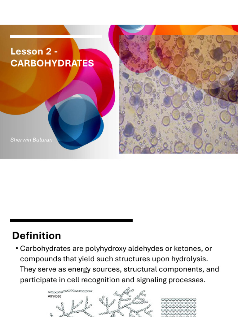 Understanding Carbohydrates: Types & Functions | PDF | Carbohydrates ...
