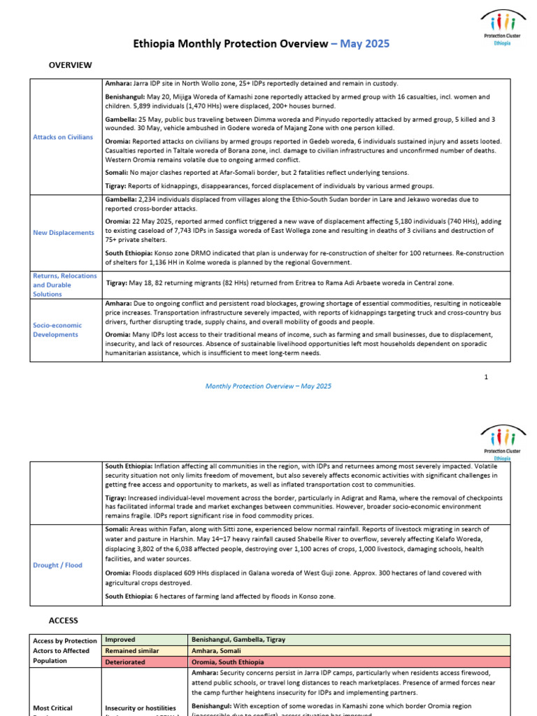 Ethiopia May 2025 Protection Report | PDF | Wash | Internally Displaced ...