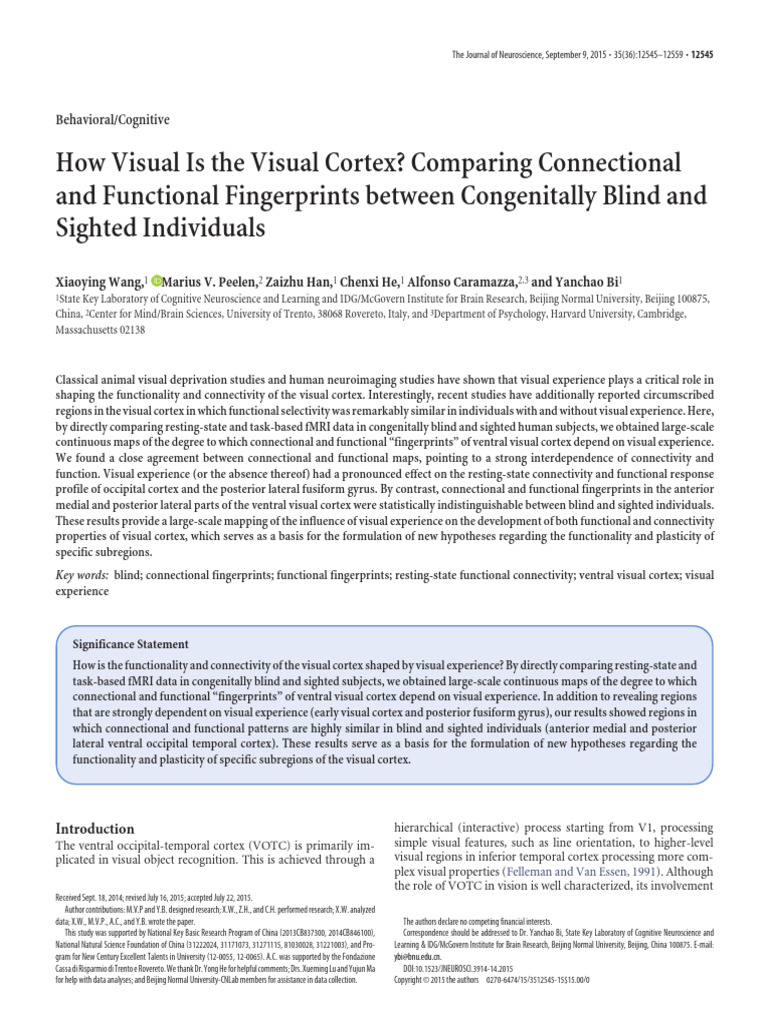 Visual Cortex Function in Blind vs. Sighted | PDF | Visual Cortex ...