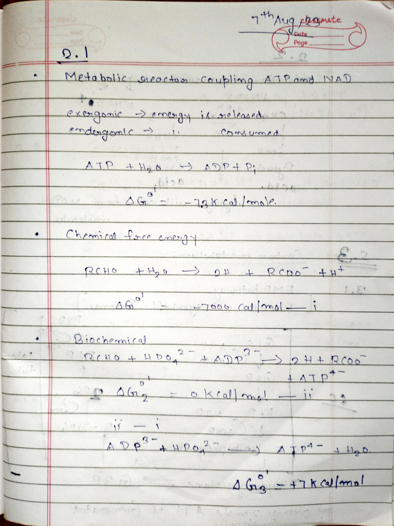 BT303 - Mid Sem Notes | PDF