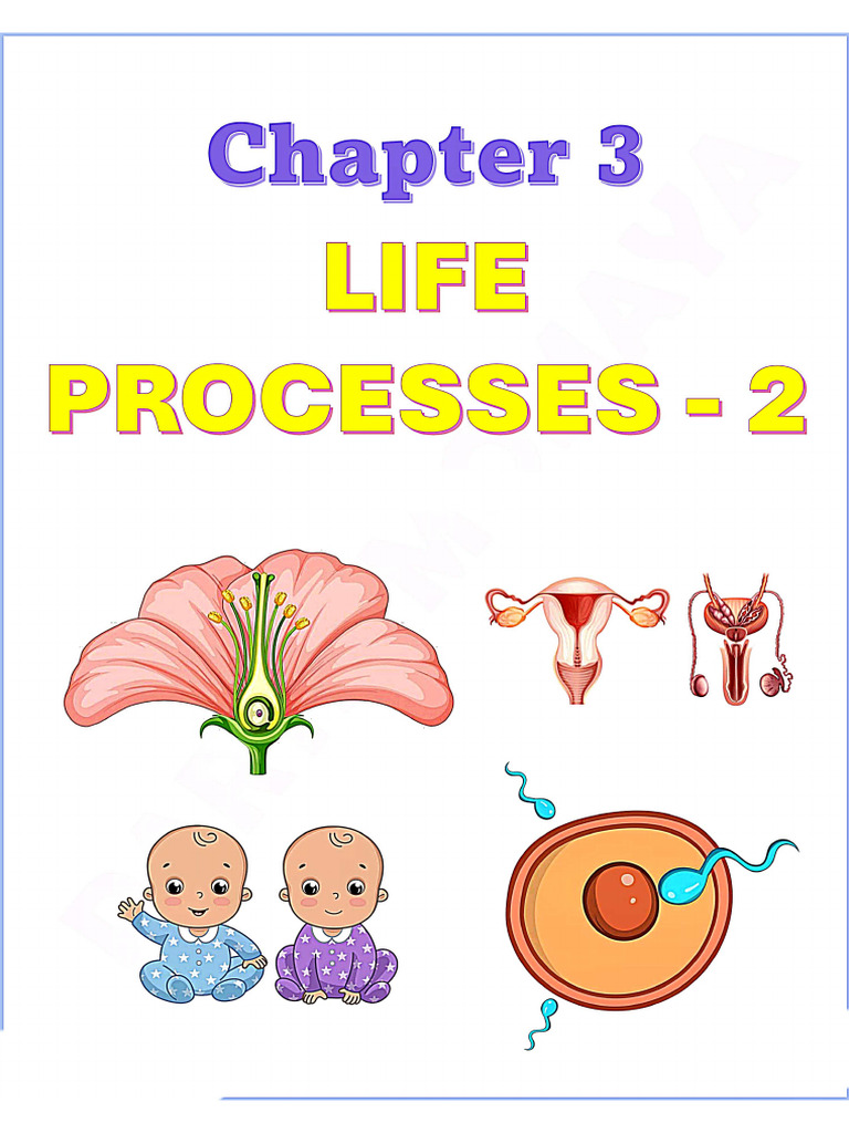 3-Life Processes | PDF