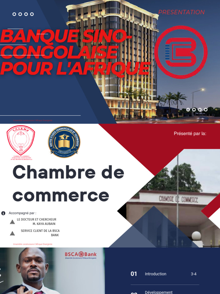 pr-sentation-de-la-bsca-bank-congo-pdf-banques-bancaire