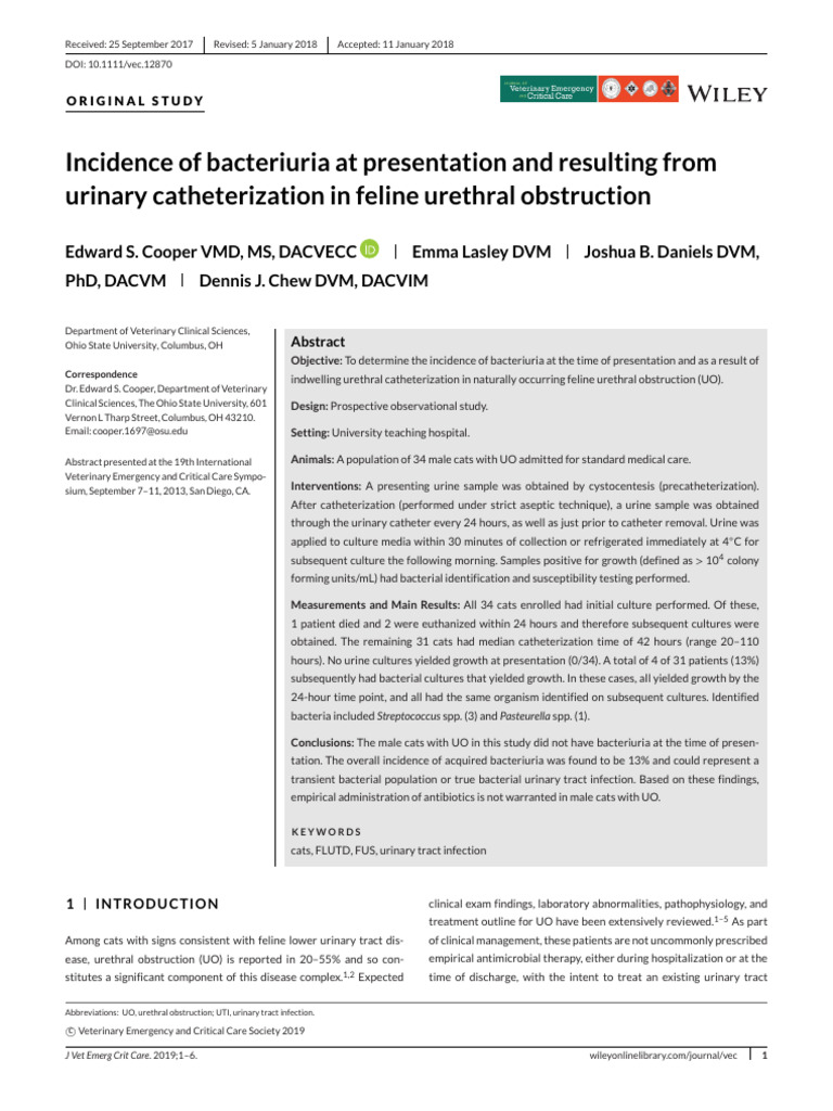 Photo inspiration: Picture Idea: Bacteriuria In Feline Urethral Obstruction Pdf
