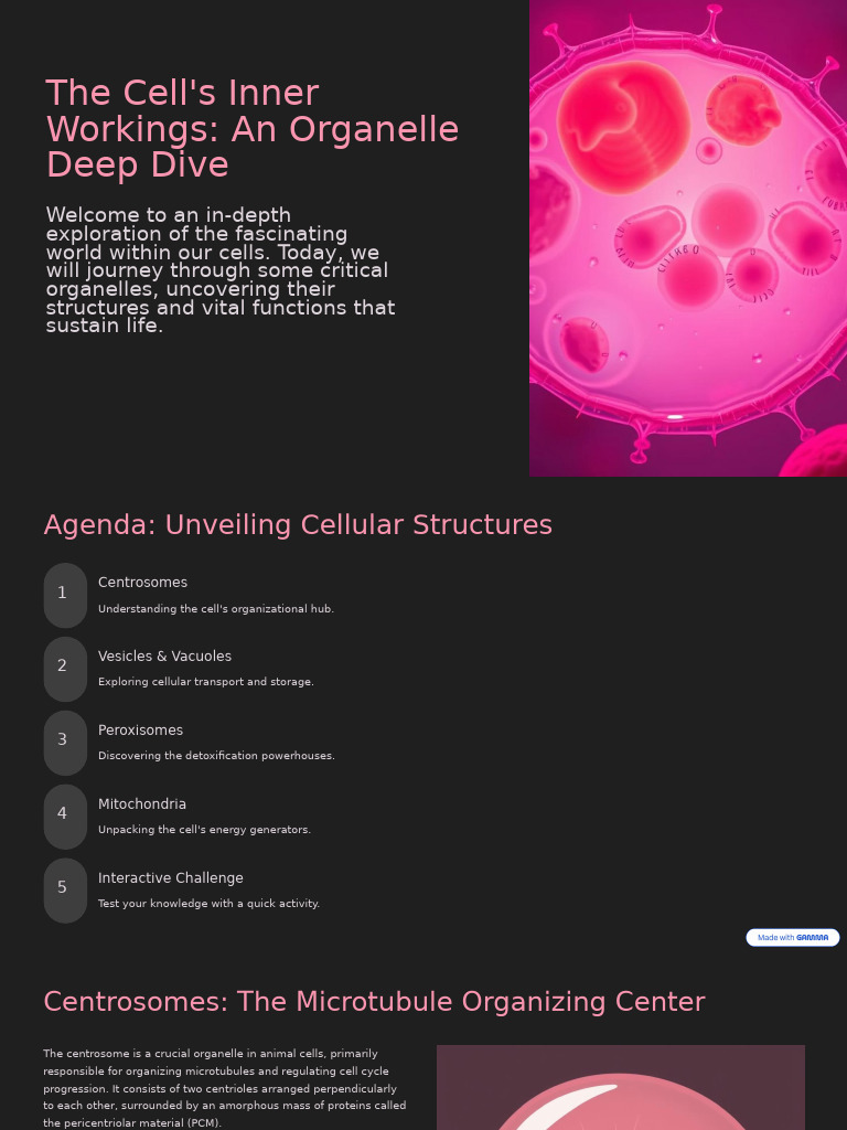 The Cells Inner Workings An Organelle Deep Dive | PDF | Cell (Biology ...