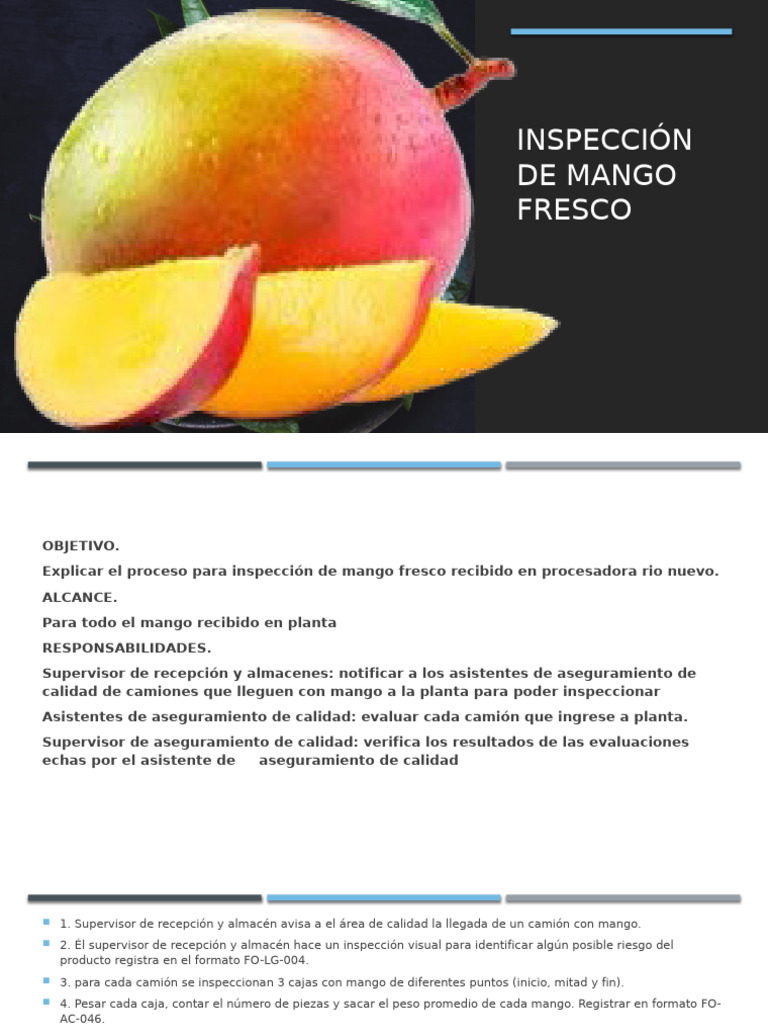 Mango | PDF