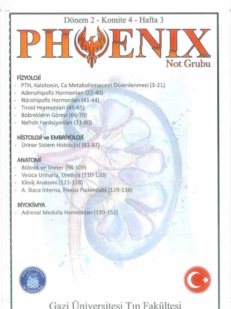 Phoenix D2K4H3 | PDF
