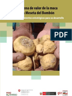 La Cadena de Valor de La Maca en La Meseta Del Bombon