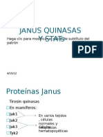 Janus Quinasas