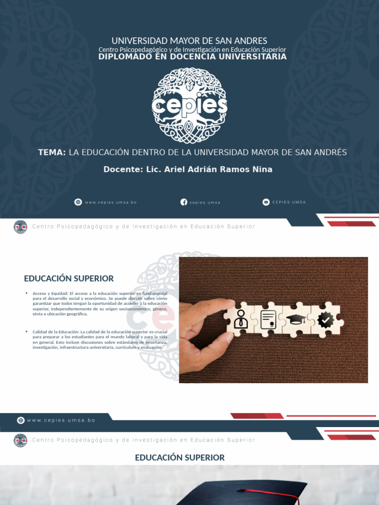 Acceso y Calidad en Educación Superior | PDF | Plan de estudios ...