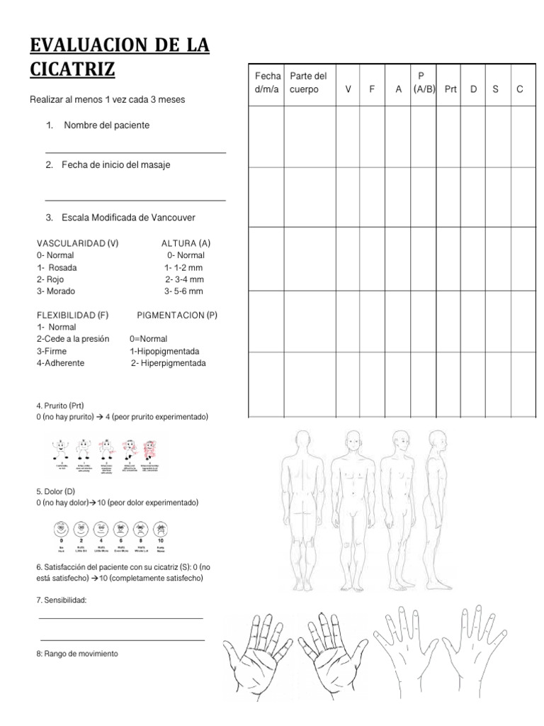 Evaluación Trimestral de Cicatrices | PDF