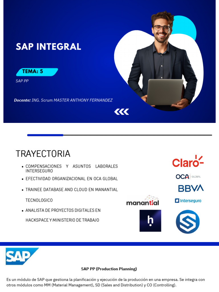 Guía Completa sobre SAP PP | PDF | Business | Economias