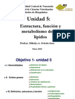 76006842-Lipidos-1