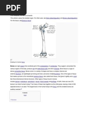 Bone