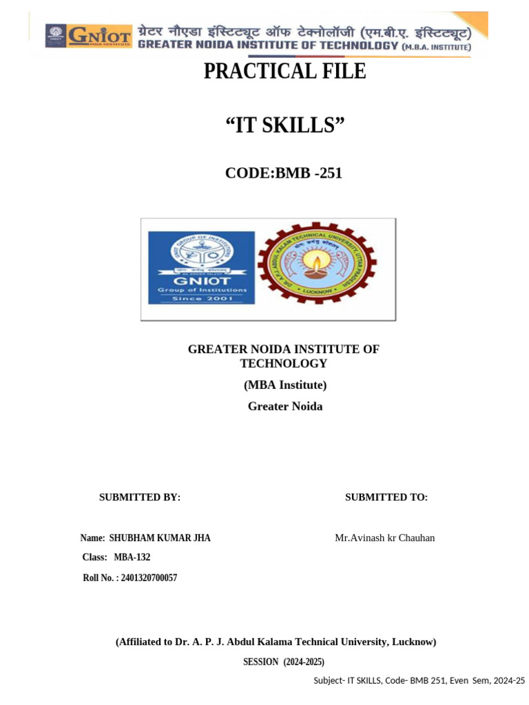 IT Skills Practical File BMB 251 2024-25 | PDF | Microsoft Excel ...